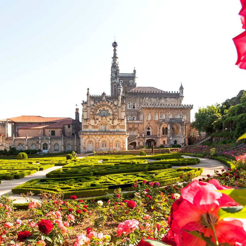 Palace Hotel Bussaco Palace Hotel Bussaco Coimbra Palace Hotel Bussaco Palace Hotel Bussaco Coimbra