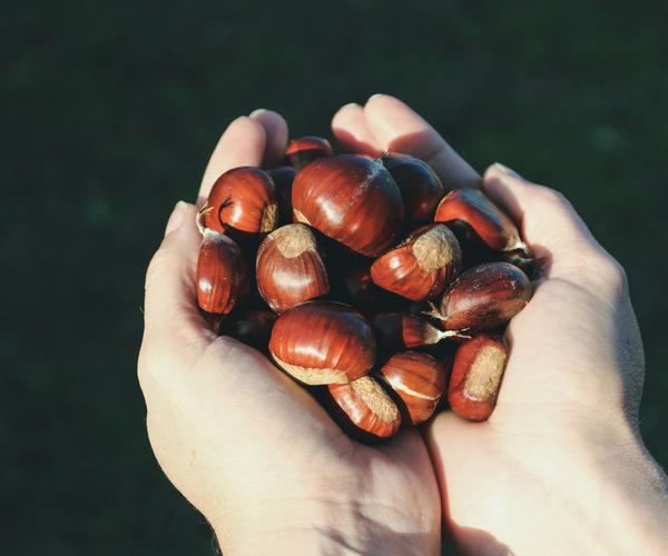 Our Offers Hotéis Alexandre Almeida Our Offers Hotéis Alexandre Almeida